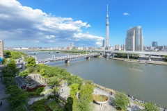 thumbnail_150__DSC2937