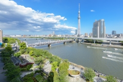 thumbnail_154__DSC2943