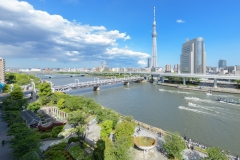 thumbnail_156__DSC2946
