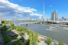 thumbnail_157__DSC2947