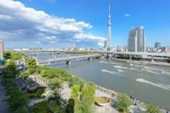 thumbnail_162__DSC2952