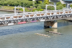 thumbnail_166__ND42206