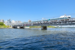 thumbnail_006__DSC2691