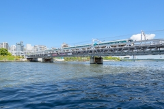 thumbnail_009__DSC2694