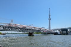 thumbnail_012__DSC2709