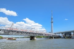 thumbnail_100__DSC2854