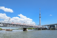 thumbnail_101__DSC2856