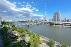 thumbnail_148__DSC2933