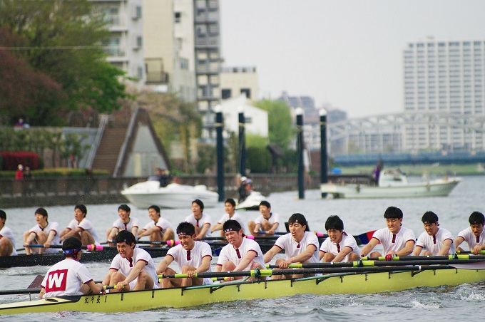 regatta01-1
